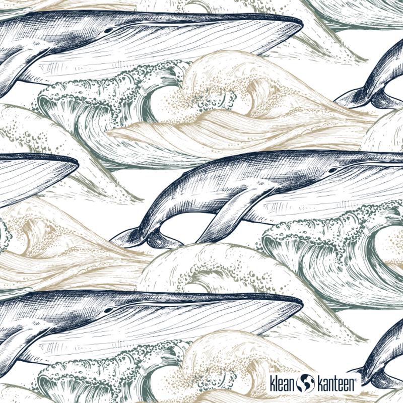 20oz-tkwide-with-twist-cap-ocean-day-z0 20oz_tkwide_bottle_seasonal_ocean_day_whale_artwork_square.png