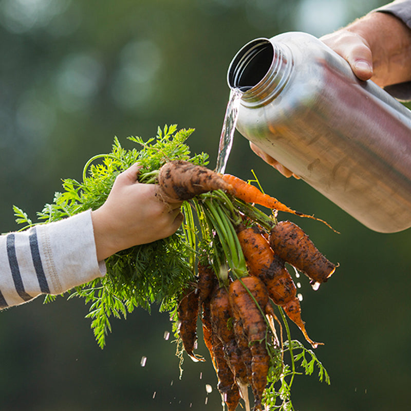 64oz-wide-with-loop-cap-k0 64oz_wide_mouth_bottle_carrots_rinse_square.jpg