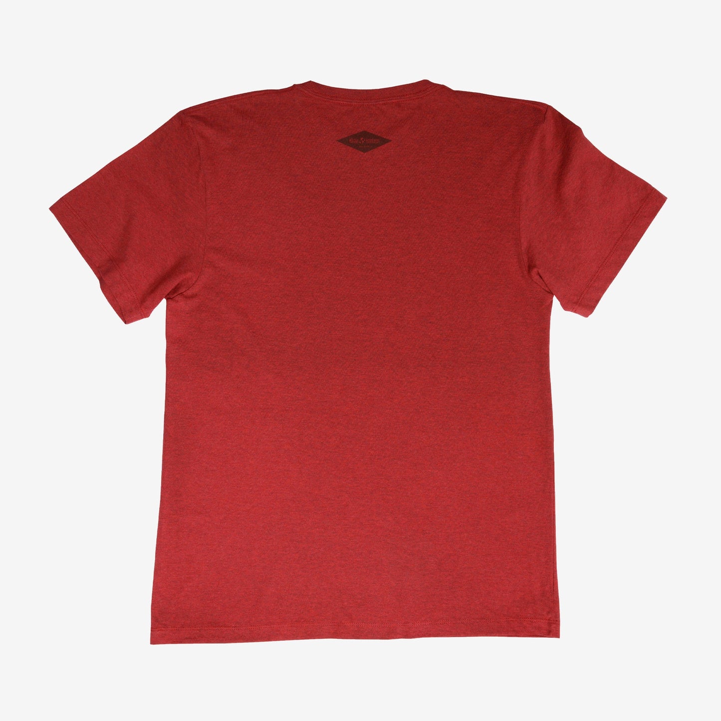 backyard-t-shirt-g7 Shirt_Mtn_Back.jpg